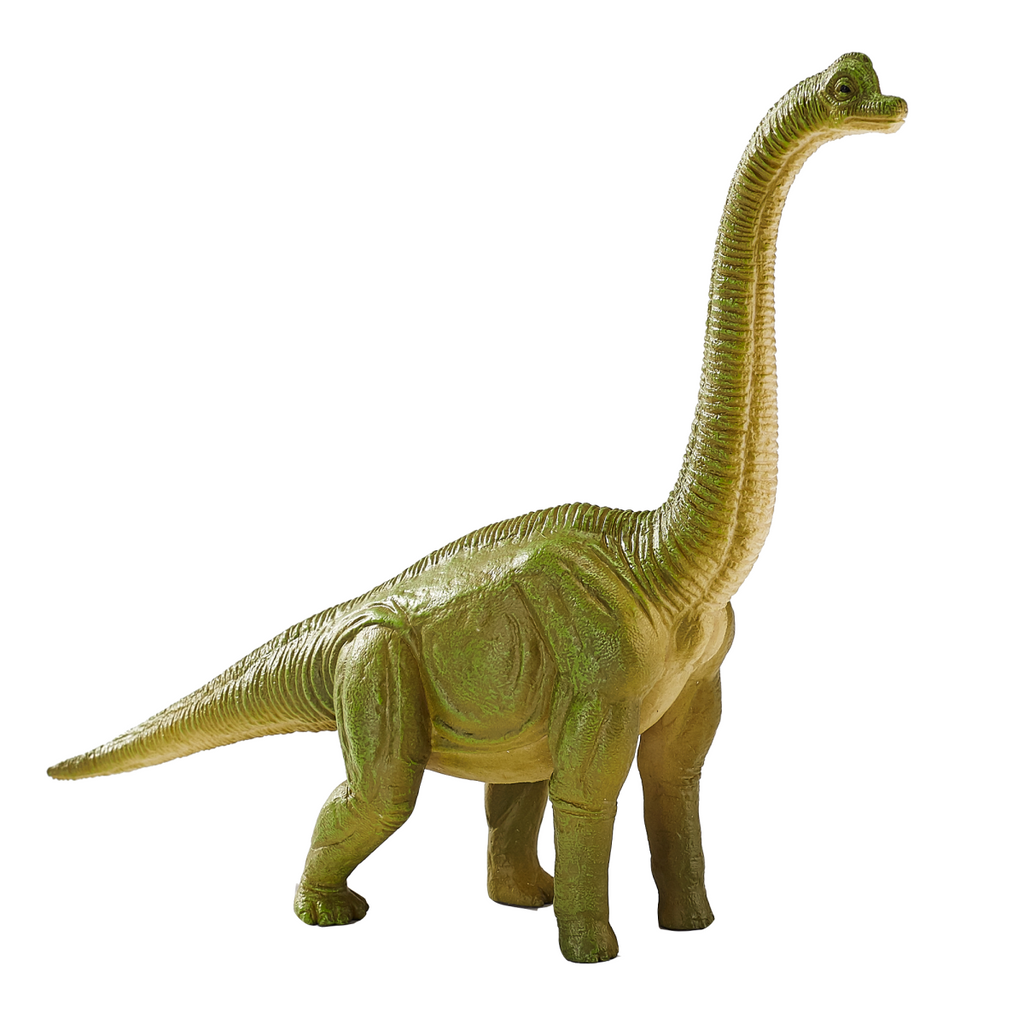 Brachiosaurus Dinosaur Toy  Realistic Prehistoric Model