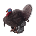 Male Turkey Toy Figure  Farmyard Animal Model