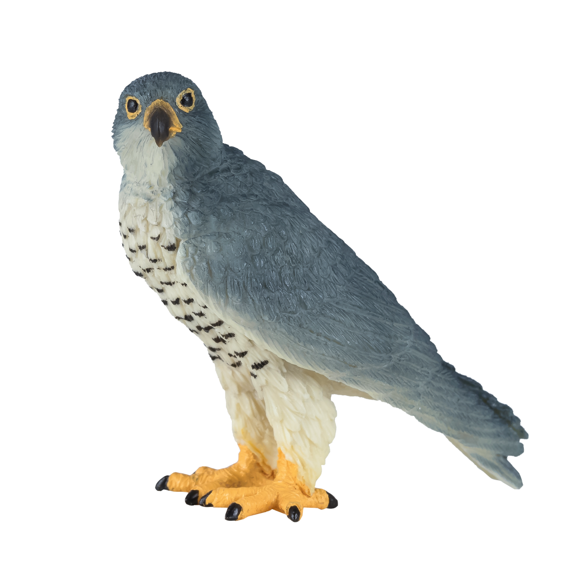 Peregrine Falcon Toy  Realistic Bird of Prey Model
