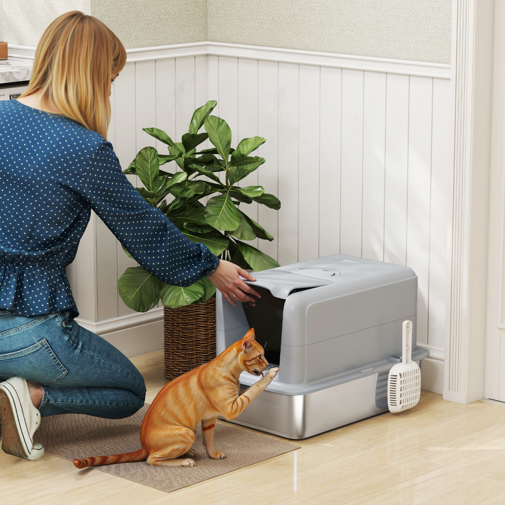Cat Litter Box