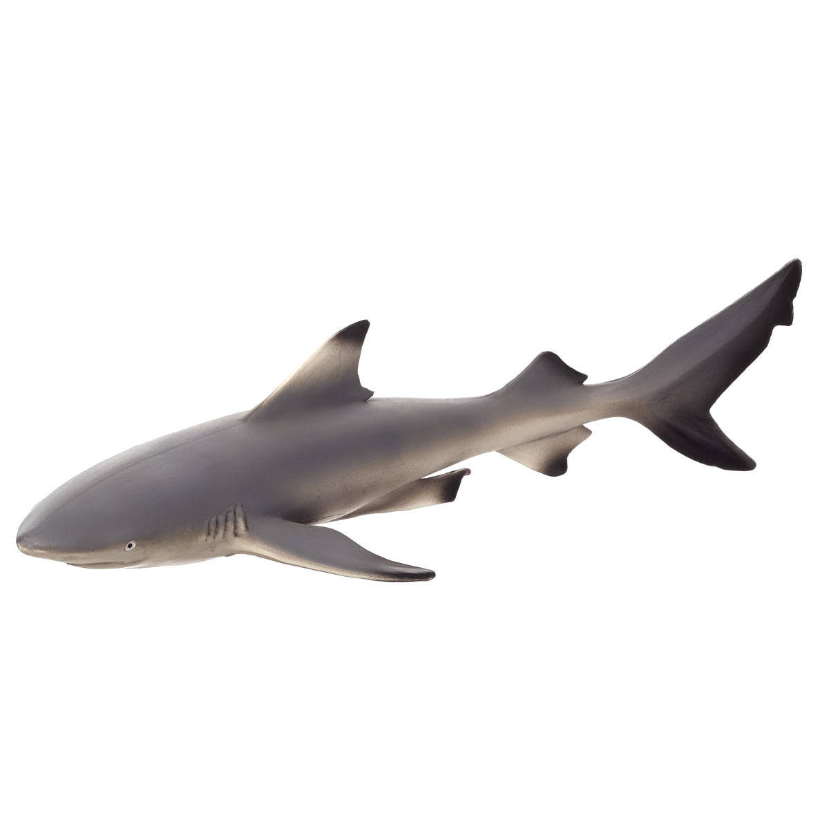 Blacktip Reef Shark Toy  Realistic Ocean Predator Model