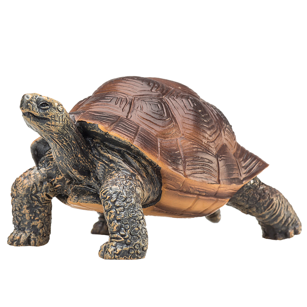 Giant Tortoise Toy  Realistic Reptile Model