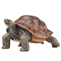 Giant Tortoise Toy  Realistic Reptile Model